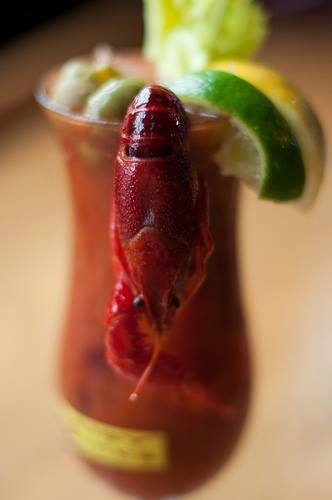 bloody mary